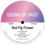 THOUGHT CRIME (INCL. WAREIKA REMIX) - RED PIG FLOWER