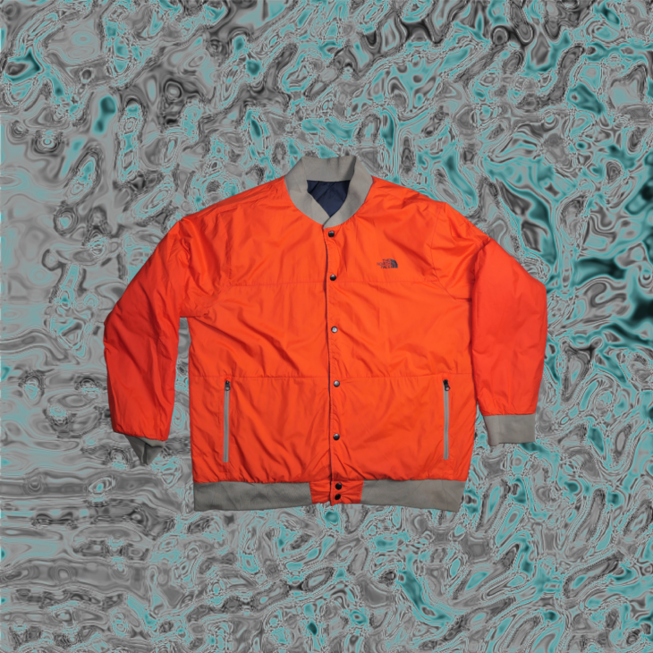 The North face reversible jacket